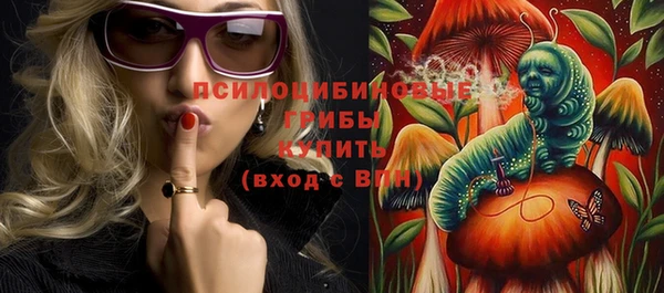 сатива Аркадак