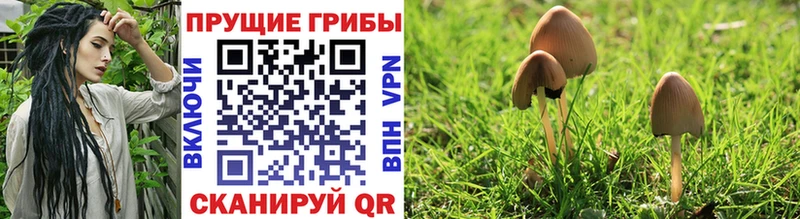 Галлюциногенные грибы прущие грибы  Сергач 